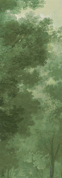 Vliesová fototapeta  na zeď, les, stromy, DG4WOO1021-300, Wall Designs IV, Khroma by Masureel