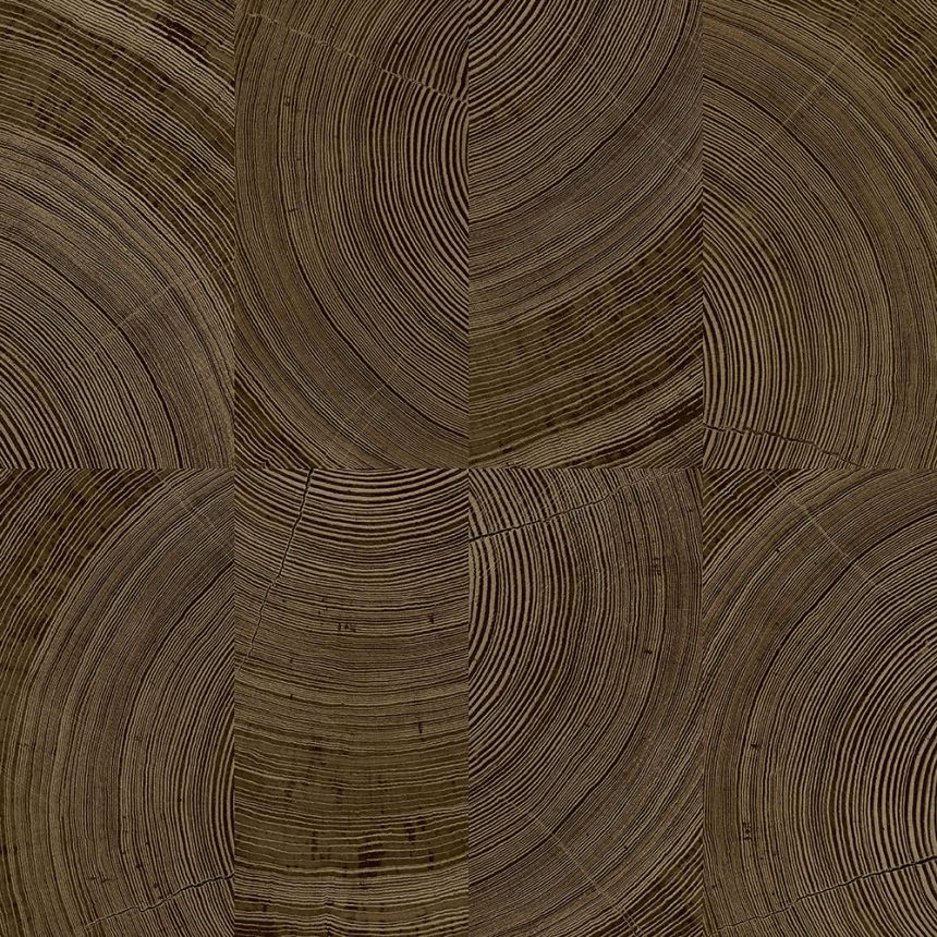 Hnědá vliesová tapeta na zeď, imitace dřevěného obkladu, A69103, Vavex 2026