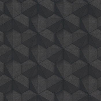 Černá vliesová tapeta s geometrickým vzorem 220372, Geometry, Vavex
